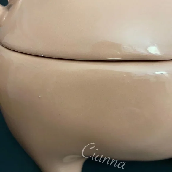 Rae Dunn Oink Pig Canister